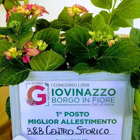 Centro Storico 4* 焦维纳佐