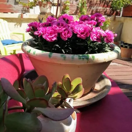 Alojamento de Acomodação e Pequeno-almoço Centro Storico 4*