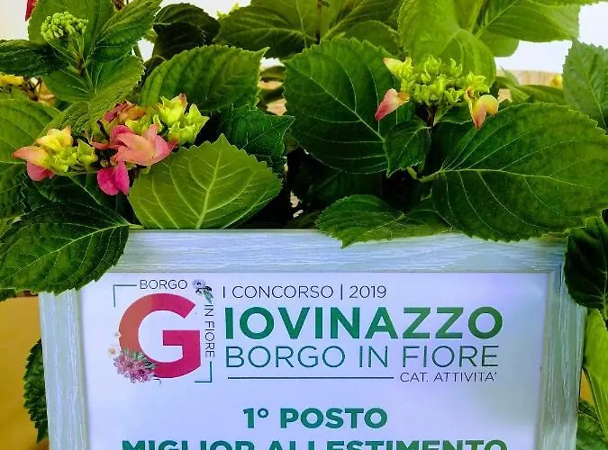 Centro Storico 4* Giovinazzo
