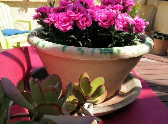 Bed and breakfast Centro Storico 4*